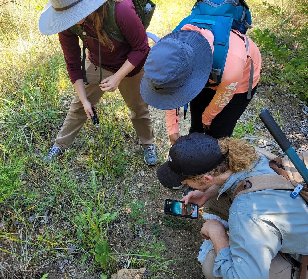  One of the Interns duties was, plant ID. Photo by,  Michelle Villafranca . 