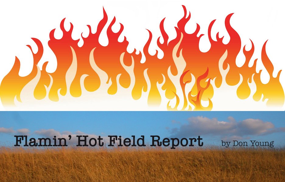 Flamin hot field report.jpg