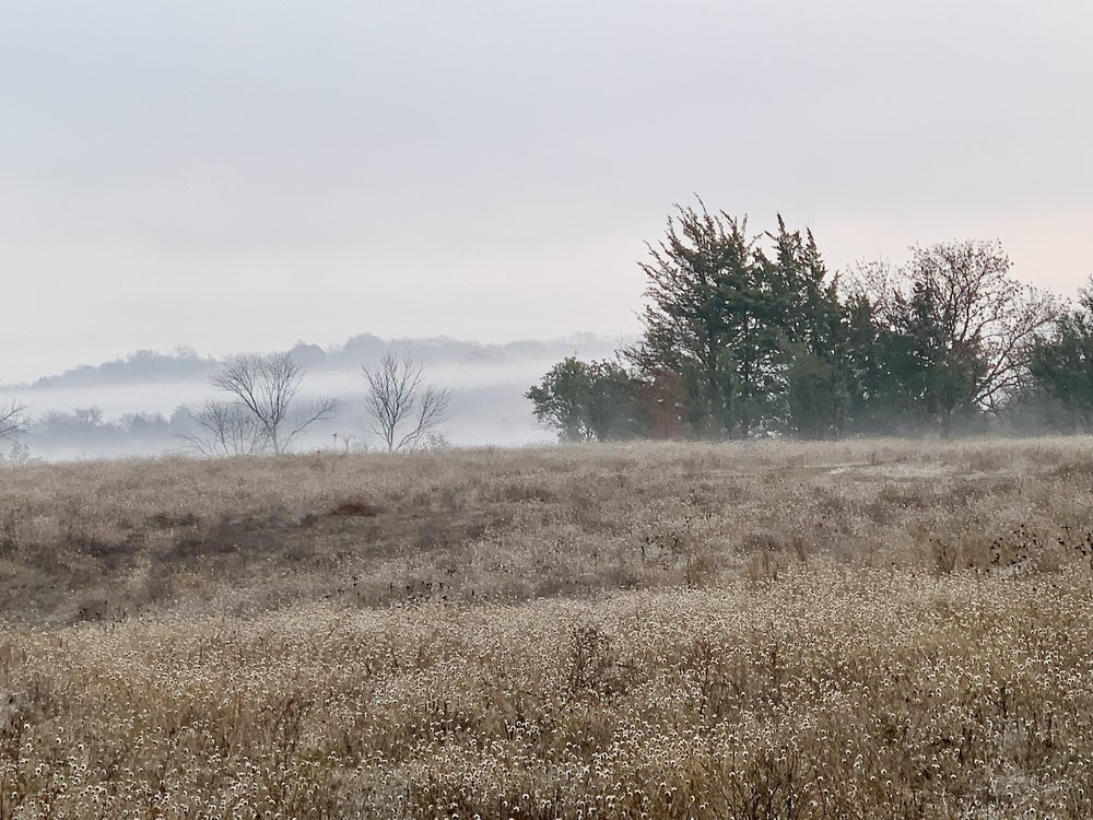 A very heavy fog descended on Tandy Hills on the morning of January 4th. (photo by D ebora Young ) 