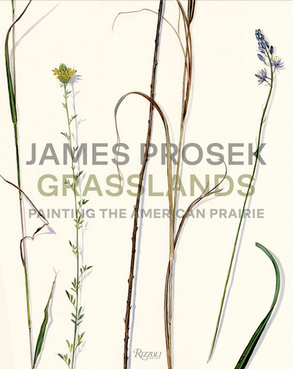  James Prosek’s new book is due out in September, 2024. 