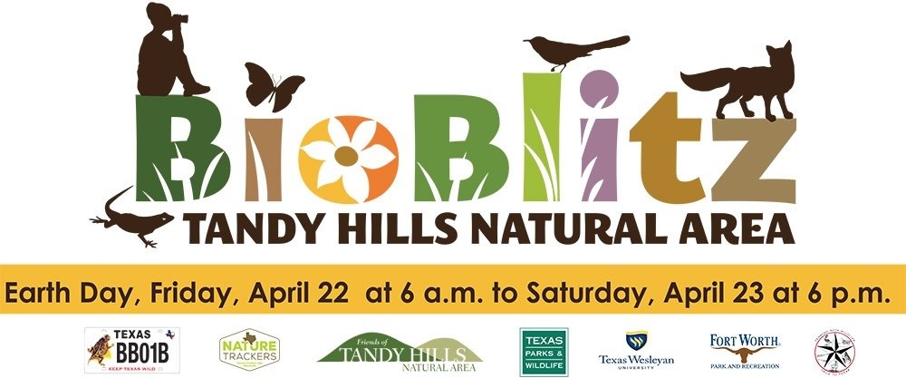  The Tandy Hills BioBlitz began on Earth Day in 2016. 