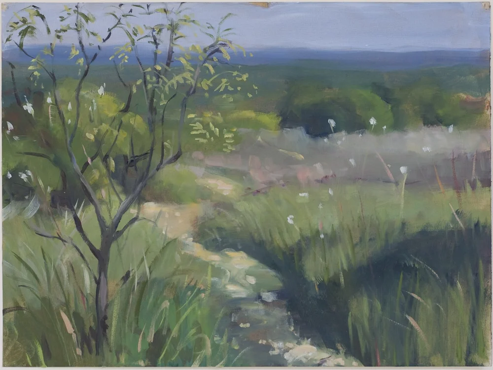   Tandy Hills Spring , oil on sanded paper, 9 x 12 inches, 2011, (private collection)pring 2011 