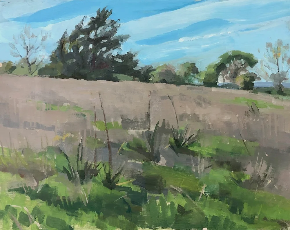   Prairie in March , oil on panel, 11 x 14 inches, 2024 