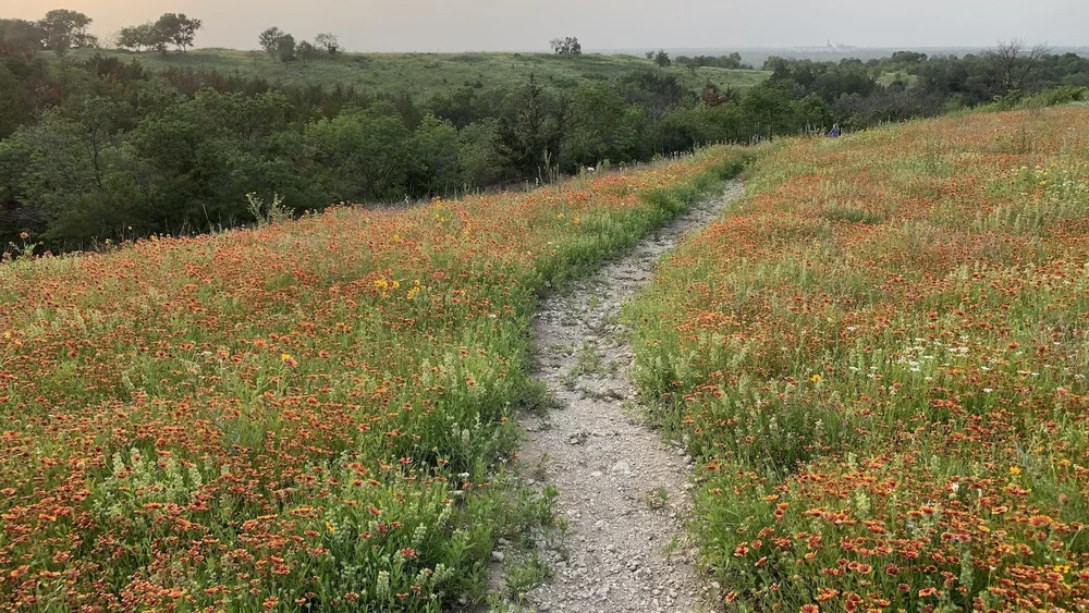  One of my favorite viewpoints at Tandy Hills and the subject of a painting by Sandy Fountain. 