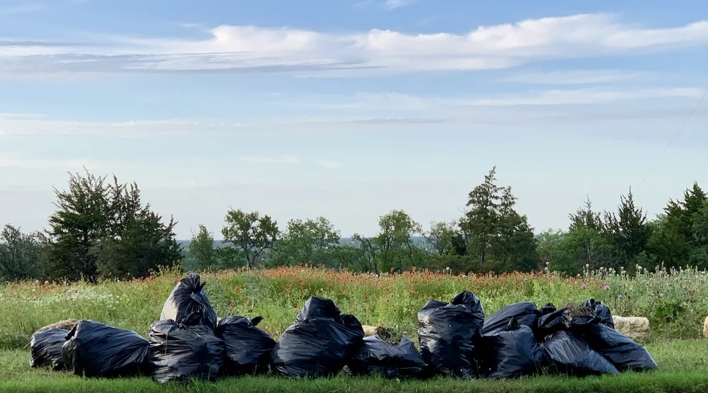  About 50 bags of invasive plants were removed from Tandy and Broadcast Hill during the month of May. 