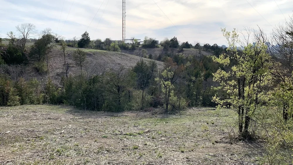  Broadcast Hill looks a lot different after mulching of privet. 