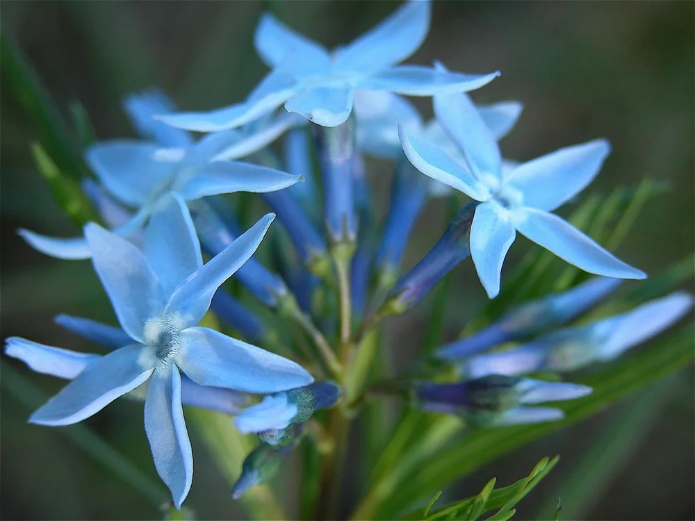 DSCN0034.JPG