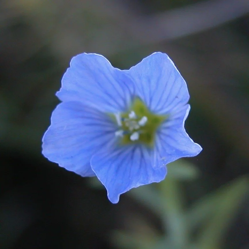 DSCN0034.JPG