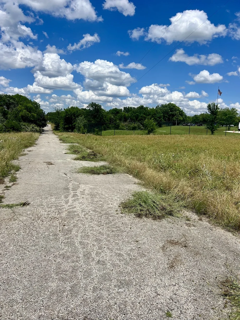  Both sides of road and the nearby meadows are now free of Sweet Scabiosa. 