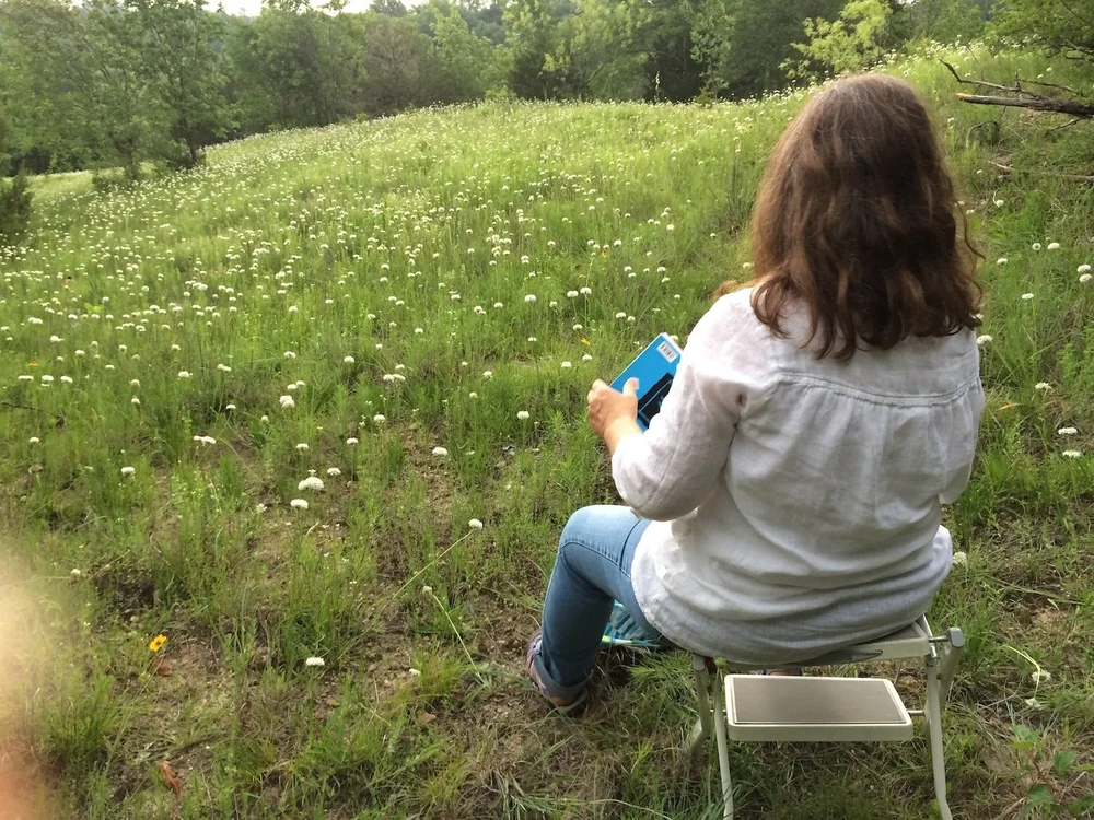  Debora Young sketching on BB Hill,  