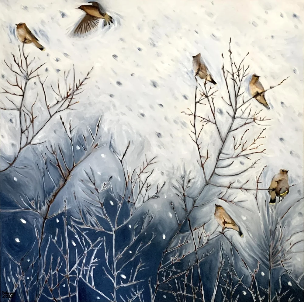   Waxwings , 2022, oil on canvas, (48" x 48") 