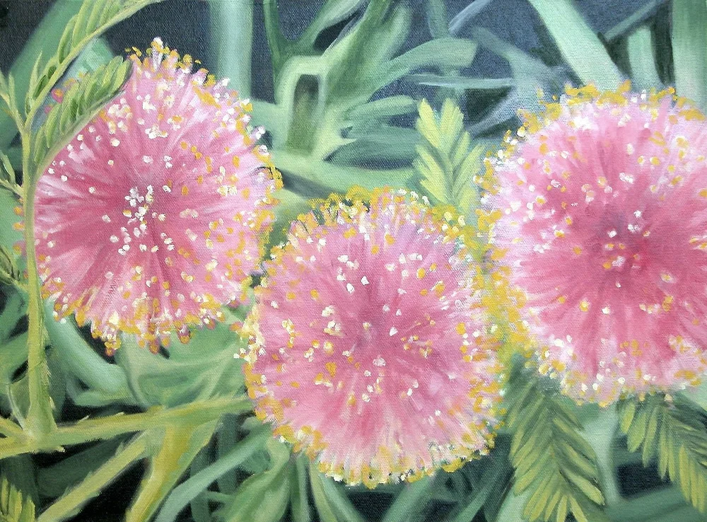  Pink Puffs, 2004, oil on canvas, (12" x 16") 