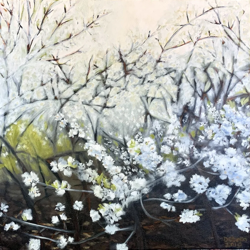   Creek Plum: Spring No. 2 , 2010, oil on canvas (16" x 16")    