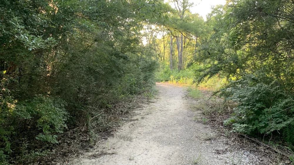  Bottomland trails are fun to explore. 