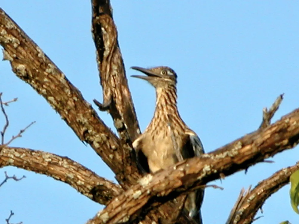 DSCN0018.JPG