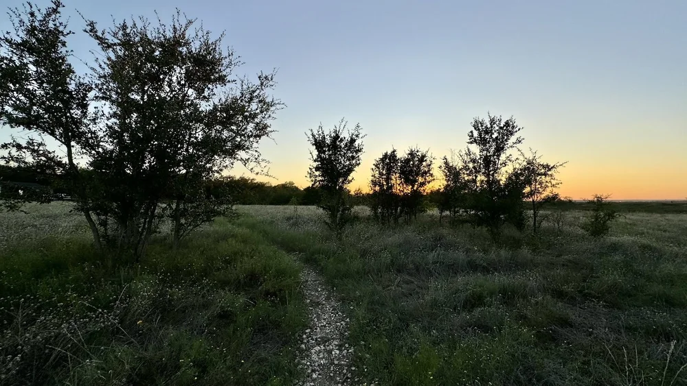  It's starting to look rather fall-ish out here on the prairie. 