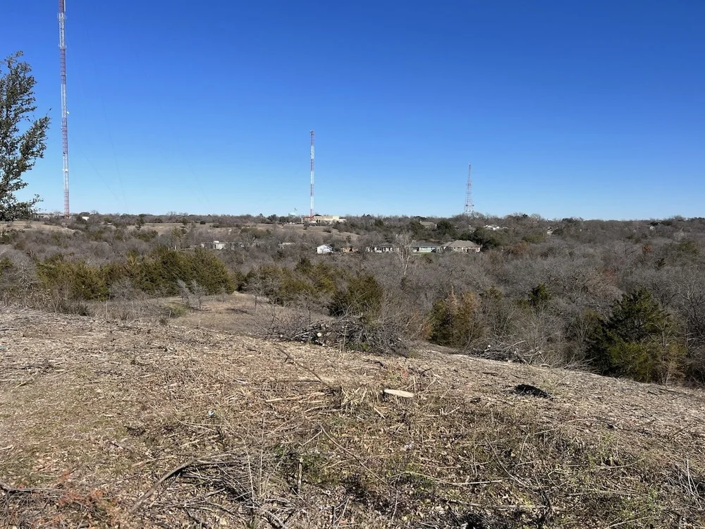  After mulching last year, some dead trees were cut and arranged in piles for a future burn. 