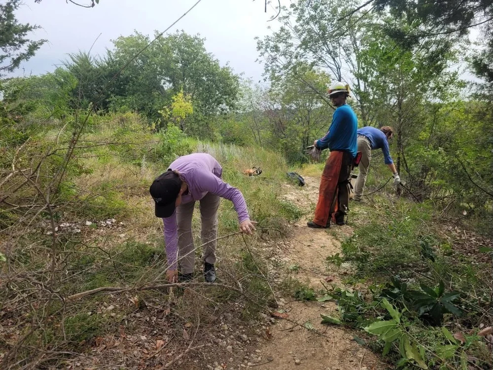  Interns and city staff clearing trails at Tandy Hills that will serve as firebreaks for upcoming burn. 