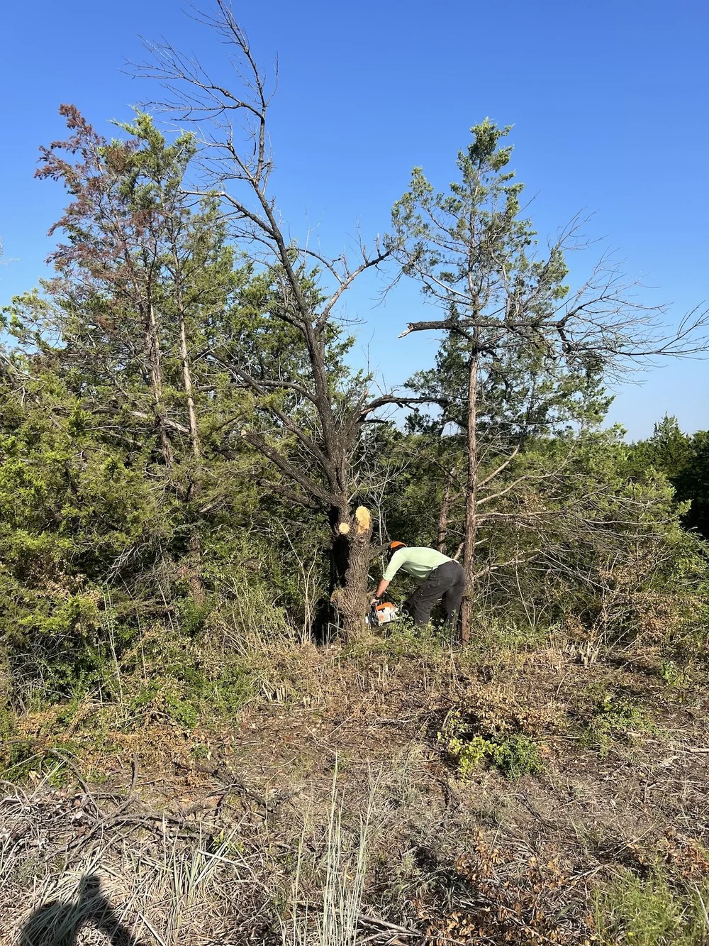  Crews hired by FOTHNA in 2024, clearing out dead and invasive brush in preparation for a burn. 