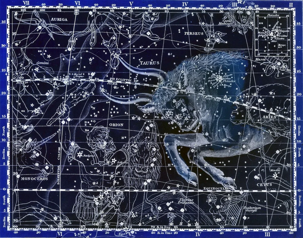 Taurus inverted copy.jpg