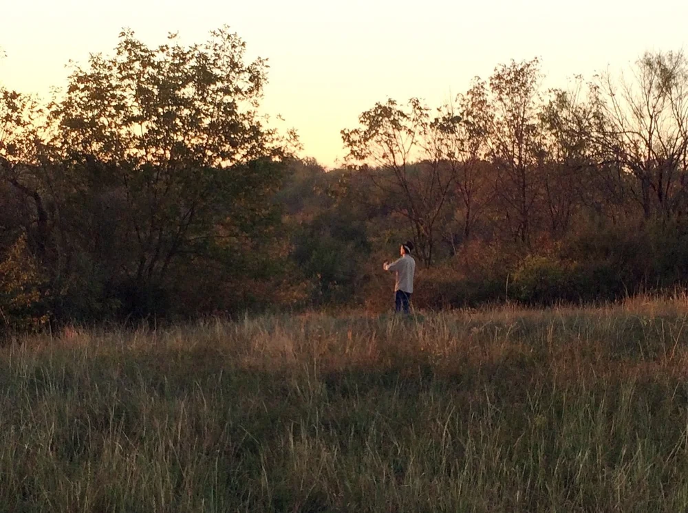  The  Fool on the Hill , 2014. Some say he was the ghost of the Death Car driver. 