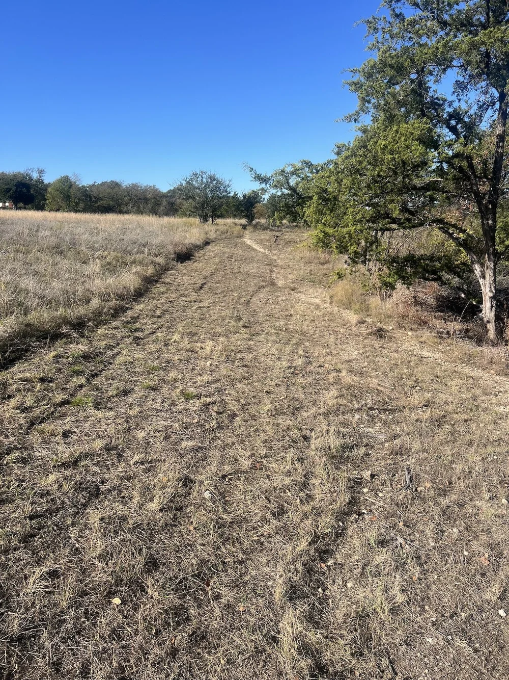  Close-cropped, mowed areas will help contain the fire. 