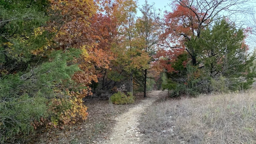  Fall colors came late in 2024 and 2025. 