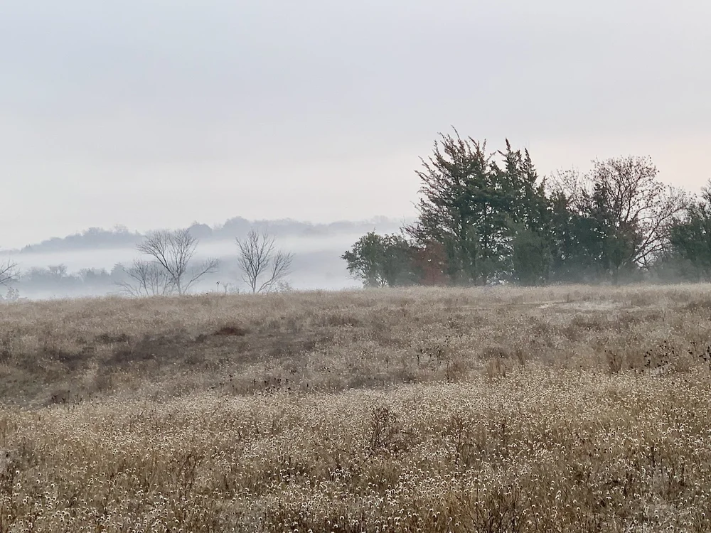  A heavy fog cloaked Tandy Hills on January 4th. Photo by  Debora Young  