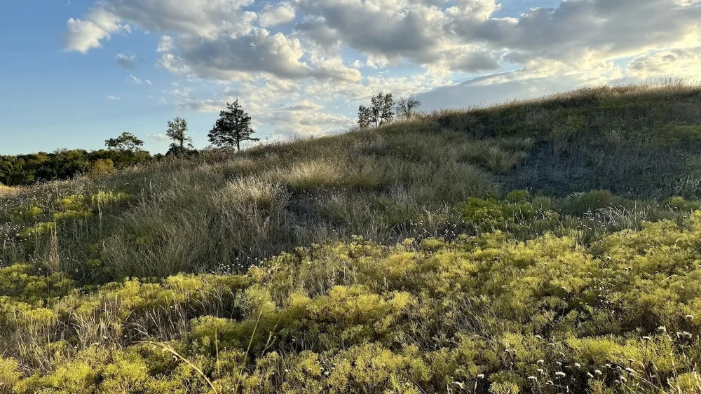  The angle of the Sun in October creates lovely shadows across the prairie hills. 