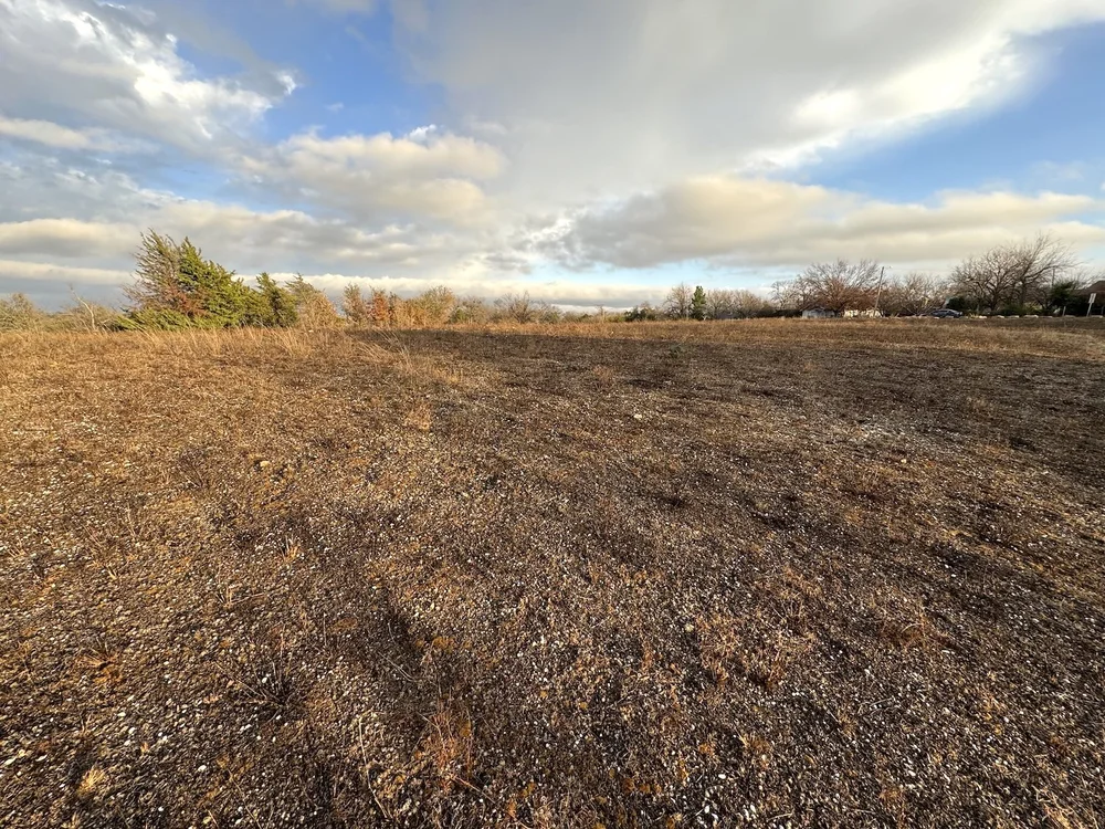  Thousands of snail shells cover the burned meadows. 