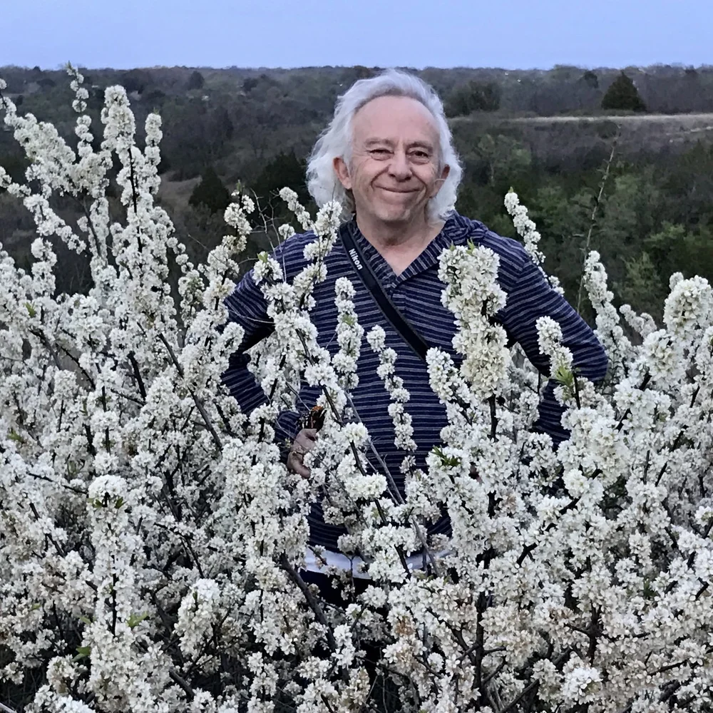  One of the most incredible things about Tandy Hills was its beloved Creek Plum thicket. 