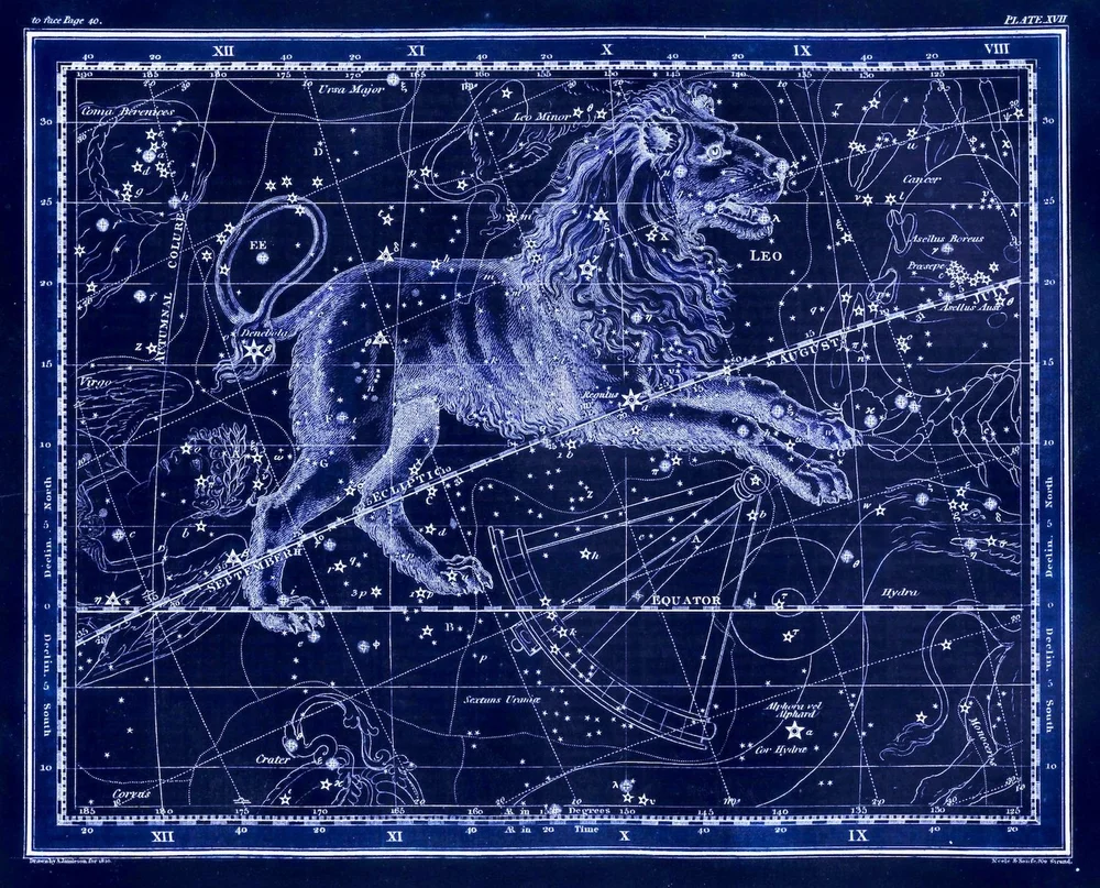 Leo_inverted.jpg