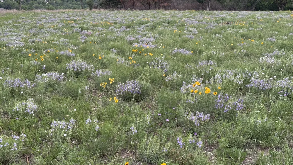  April 18th 