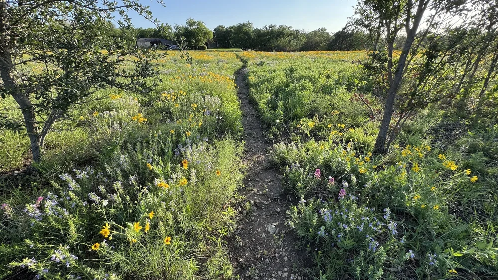  An inviting saunter down the trail on April 24th. 