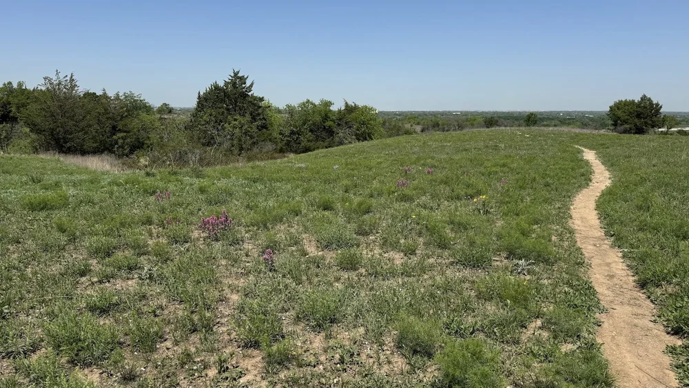  After the December burn, the meadows were finally starting to green up by April 10th. 