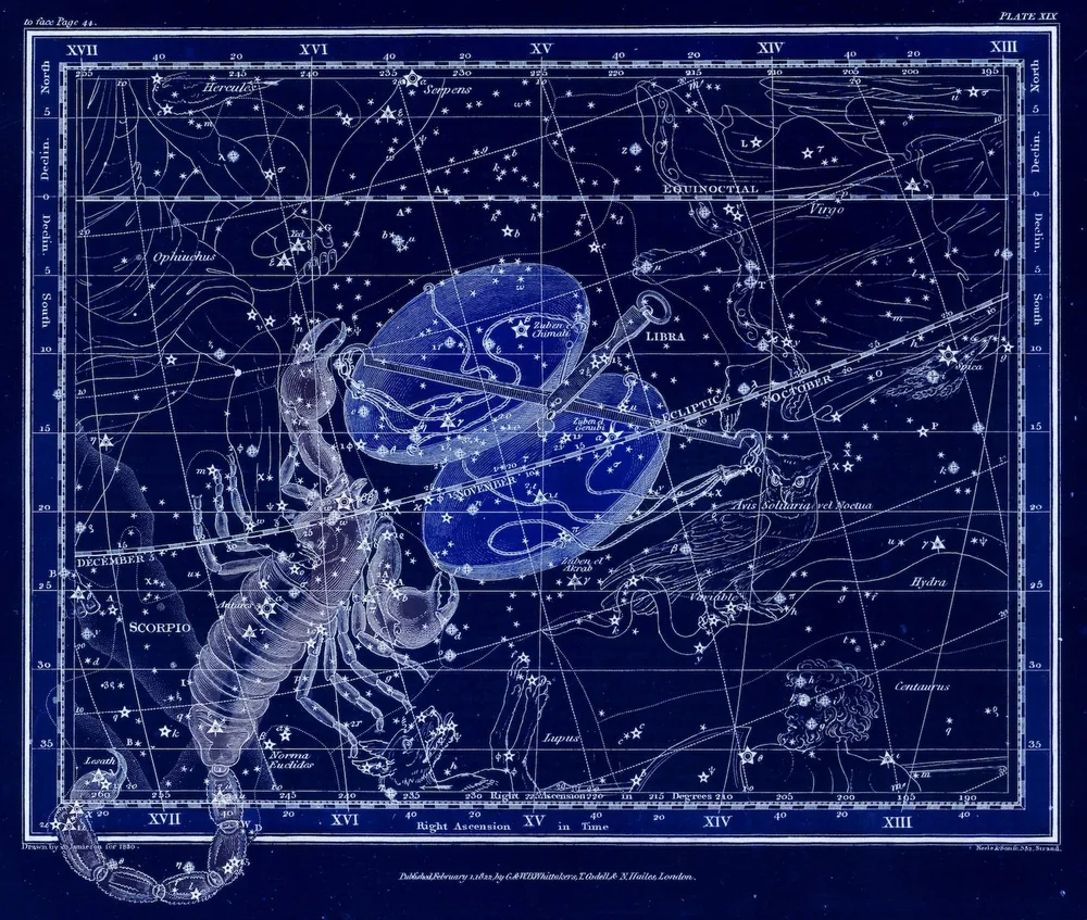 3911020 copy.jpg