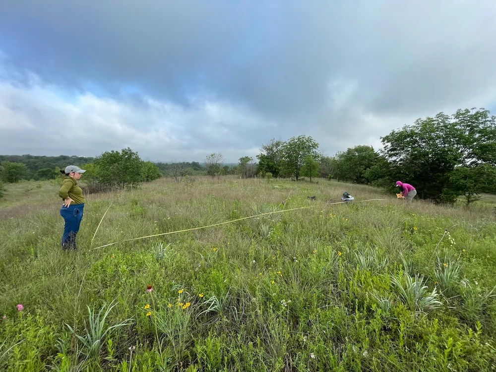  Laying out a 20×20 meter sampling plot. 