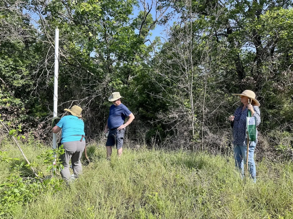   Debora Young  monitoring the installation of the bat pole.  