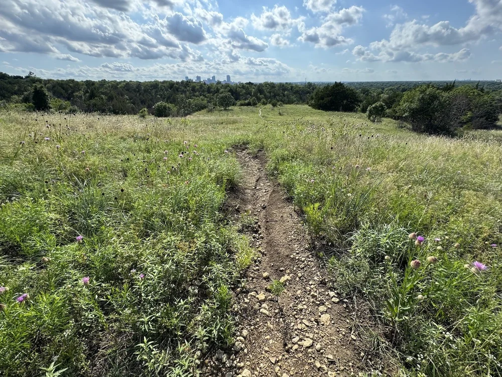  This illegal, braided trail is deeply eroded from overuse by photographers and is now closed. 
