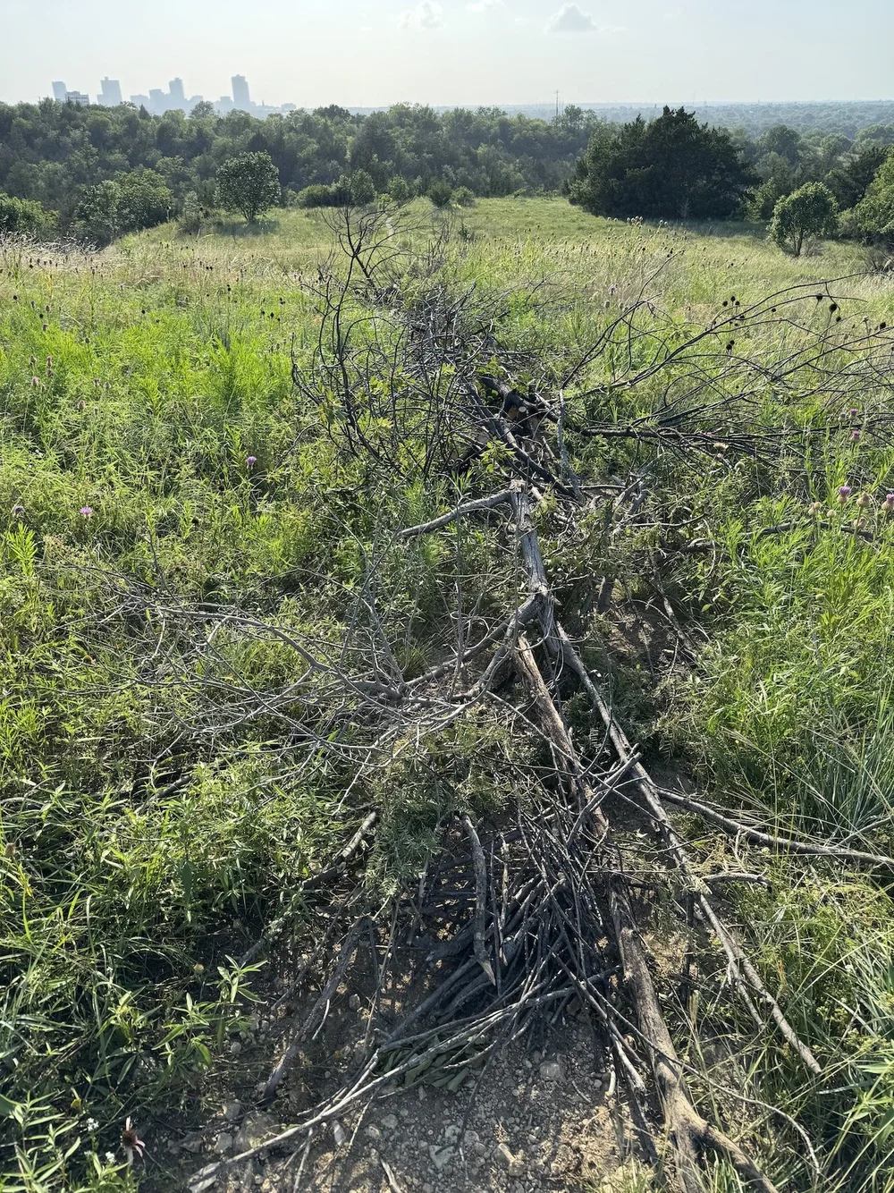  The first step is to cut and gather dead tree limbs and cut brush. It is then piled on the bad trail. 