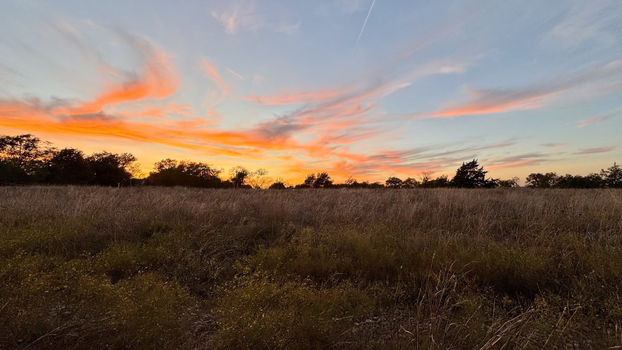 Prairie Notes #228 - Looking Back at 2025