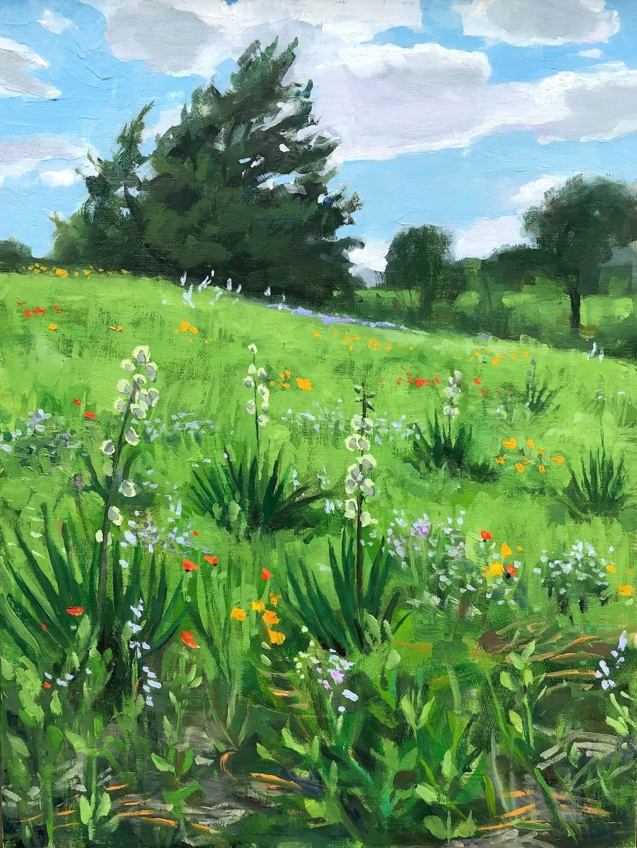   April Prairie , 2024 