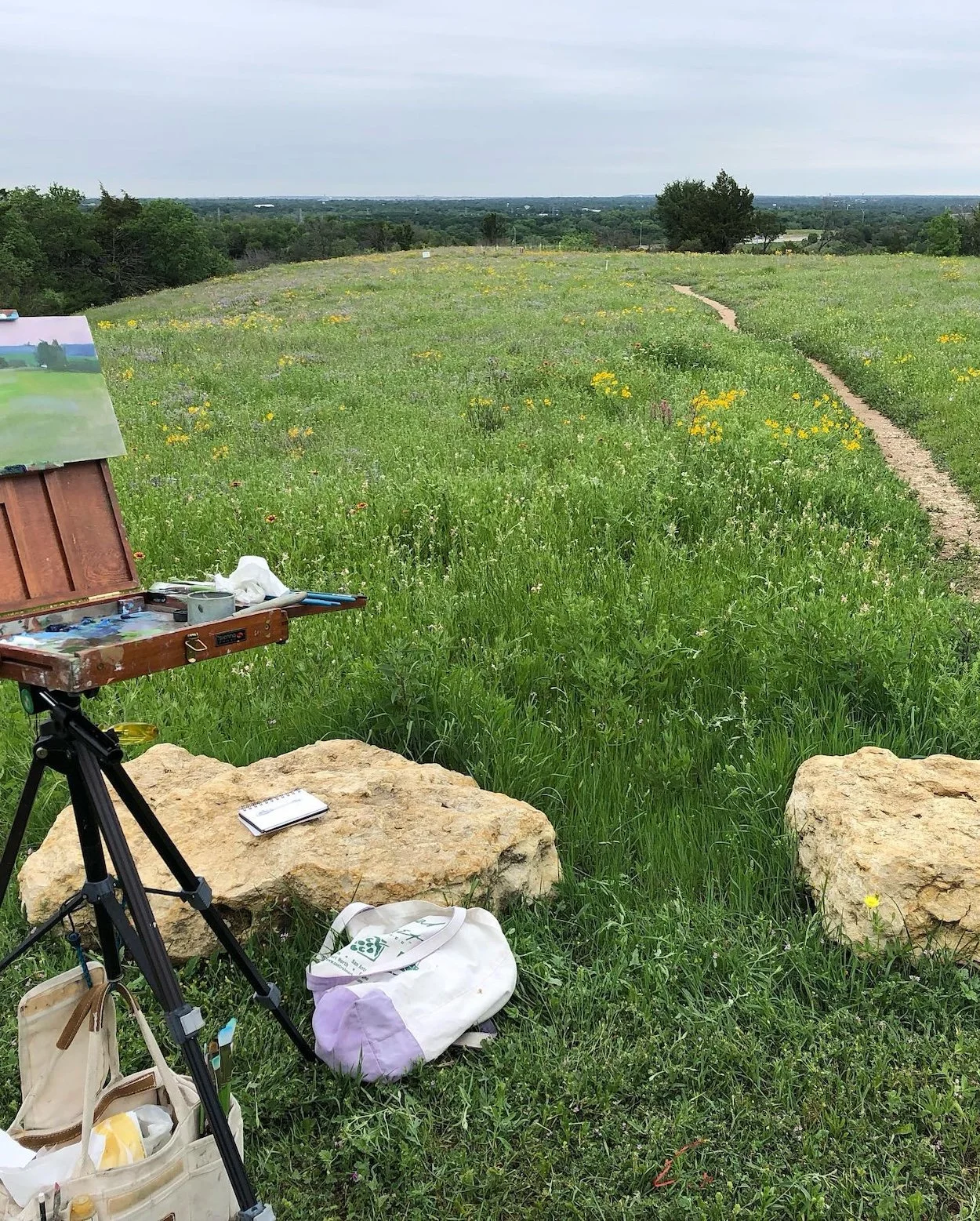  2024 at Tandy Hills. 