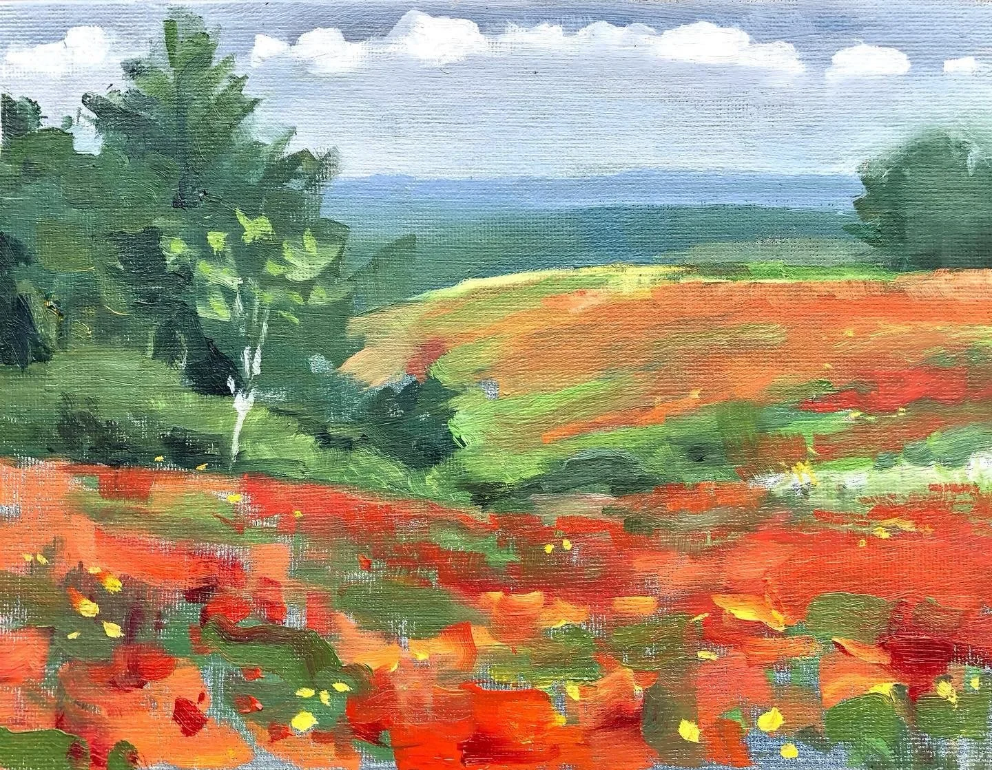   Indian Blankets at Tandy Hills , 2024. 