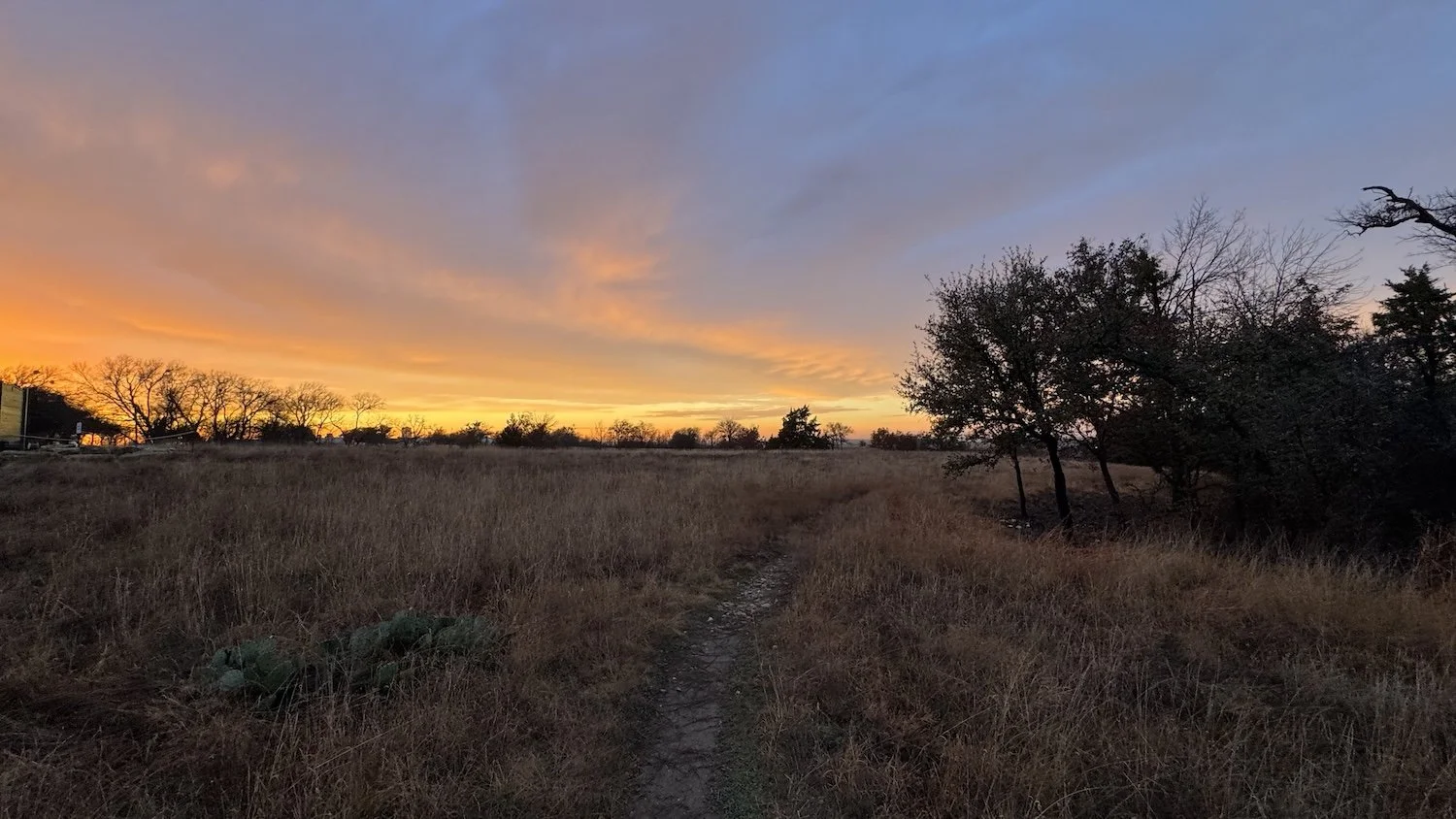 Prairie Notes #231- Look to the Skies