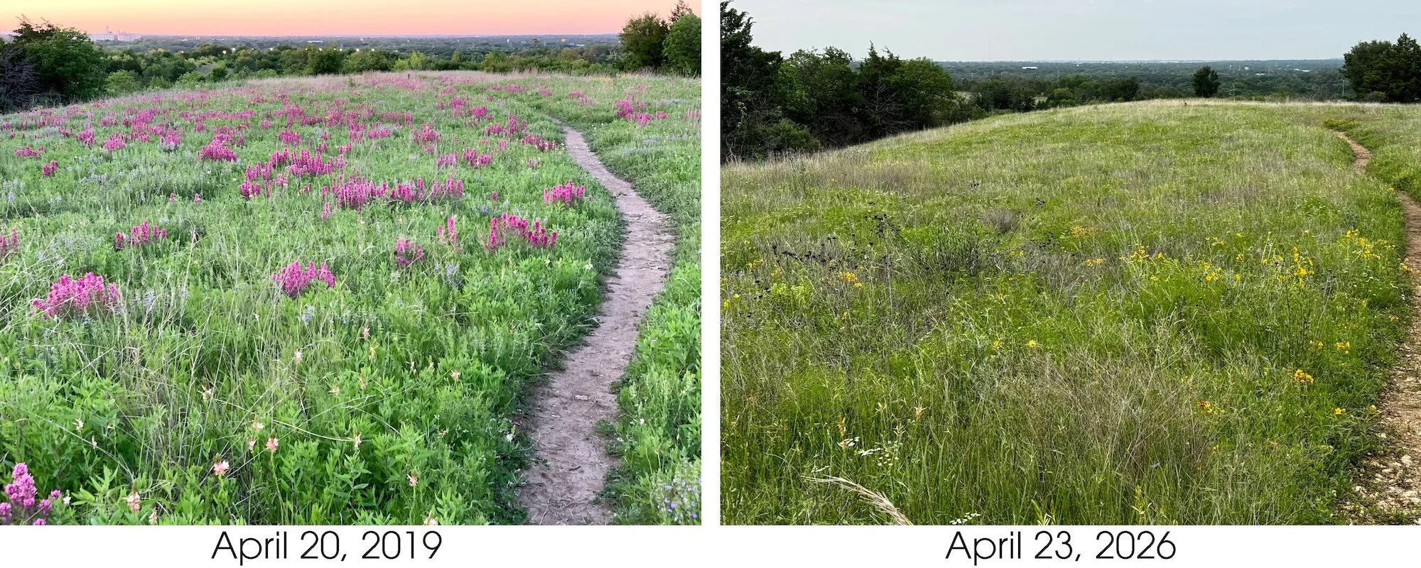 Prairie Notes #232 - What’s Going On Here?