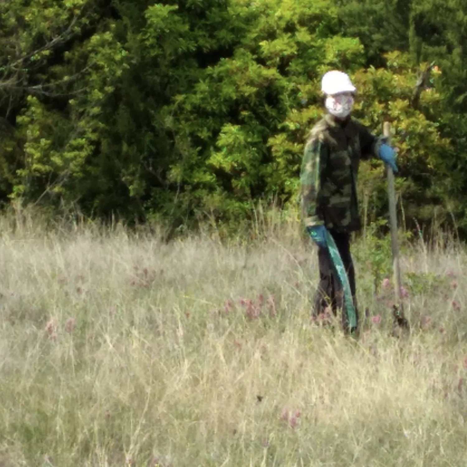  The infamous, Paintbrush Pilferer, who dug up dozens of Paintbrush in 2021. She was stopped with a giant bag full of them. 
