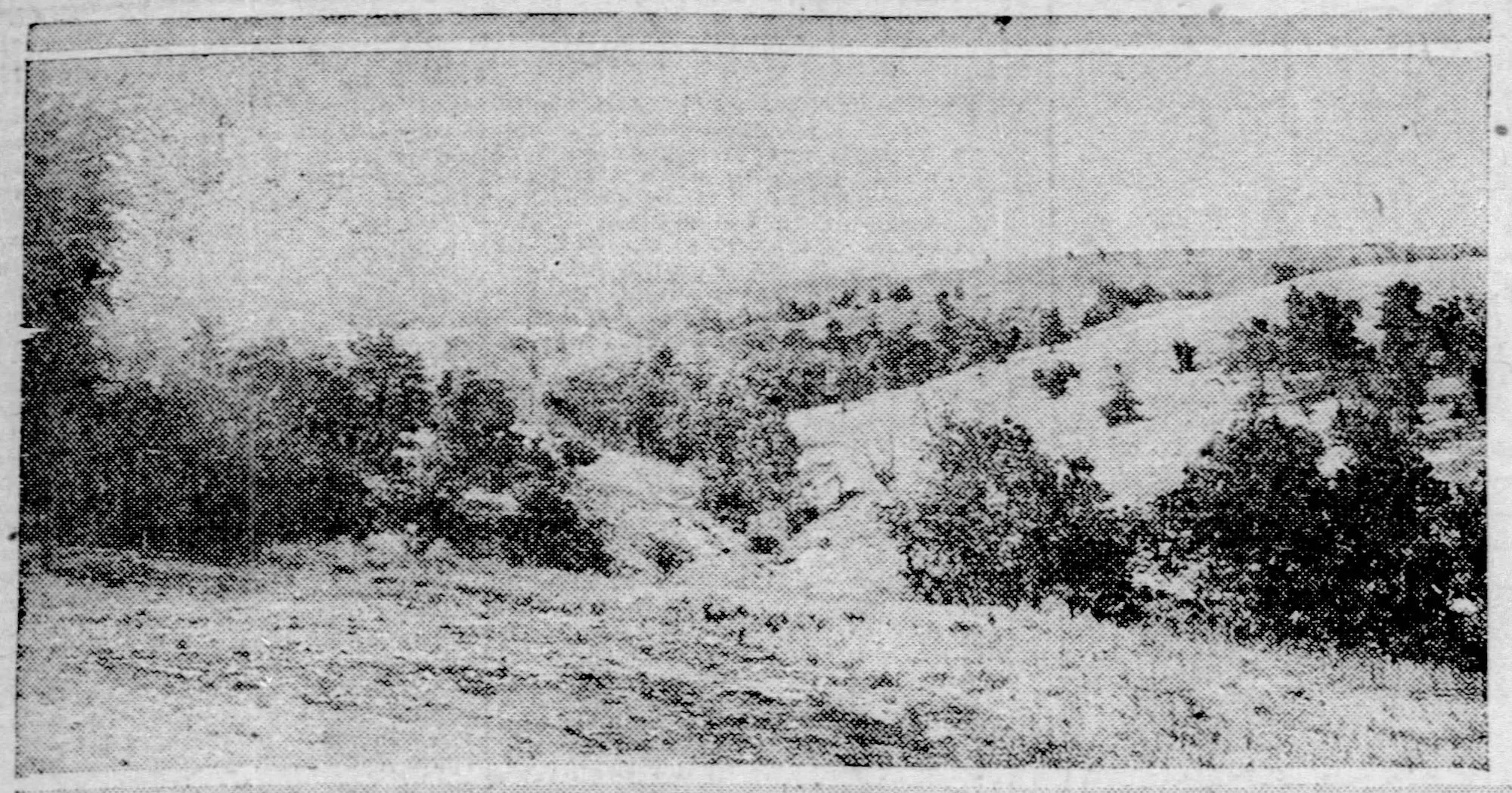 Prairie Notes #237 - Shifting Baseline Syndrome