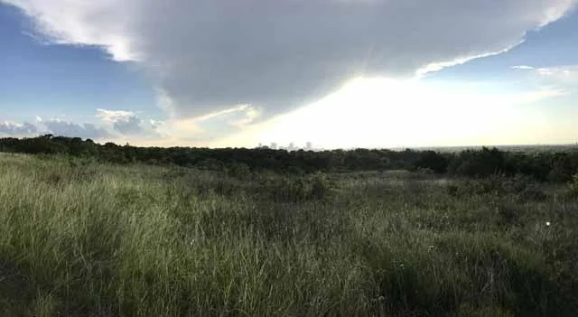 Prairie Notes #133 - Pics & Proverbs 2017