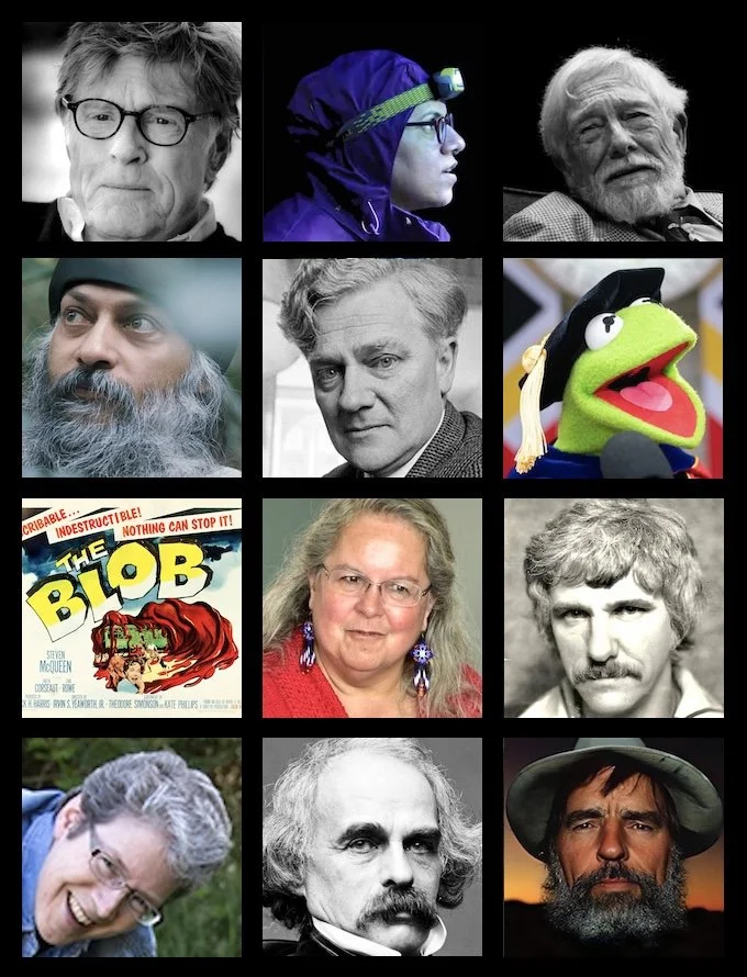 PICS &amp; PROVERBS - 2025